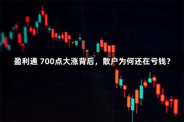 盈利通 700点大涨背后，散户为何还在亏钱？