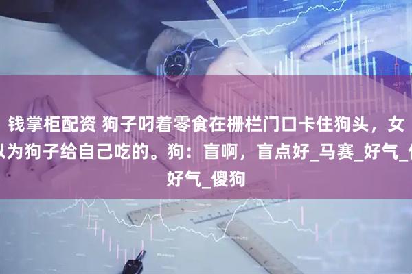 钱掌柜配资 狗子叼着零食在栅栏门口卡住狗头，女子以为狗子给自己吃的。狗：盲啊，盲点好_马赛_好气_傻狗
